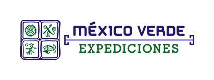 MEXICO VERDE CLICK 